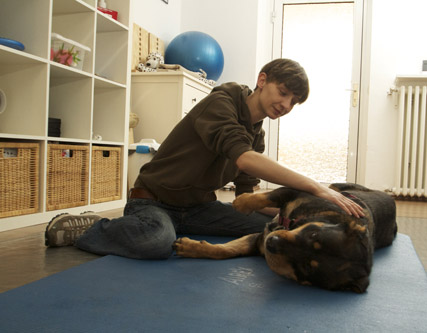 Hundephysiotherapie